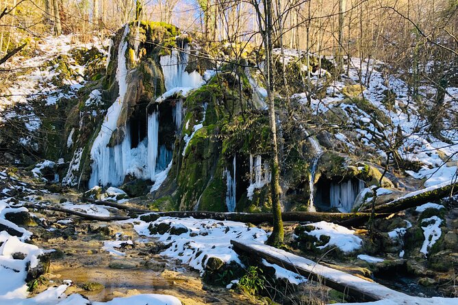 Nera Gorge National Park - Private Day Tour from Timisoara - How much walking should you expect?