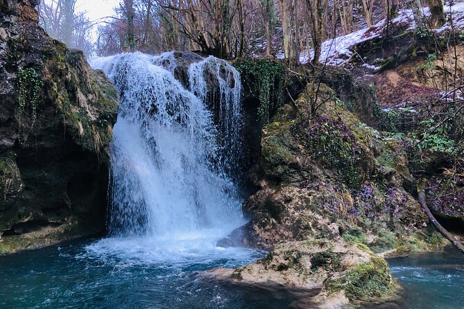 Nera Gorge National Park - Private Day Tour from Timisoara - Lunch, driving, and the nine-hour schedule