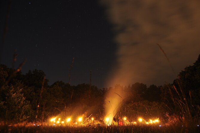 Night Tour in Hoia Baciu Forest - Meeting Alex after dark