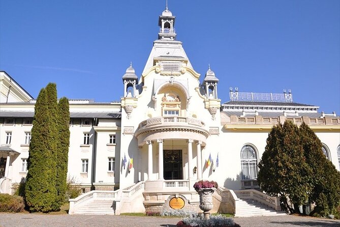 One Day Private Tour to Peles and Dracula Castles & Brasov City - Who should book this experience