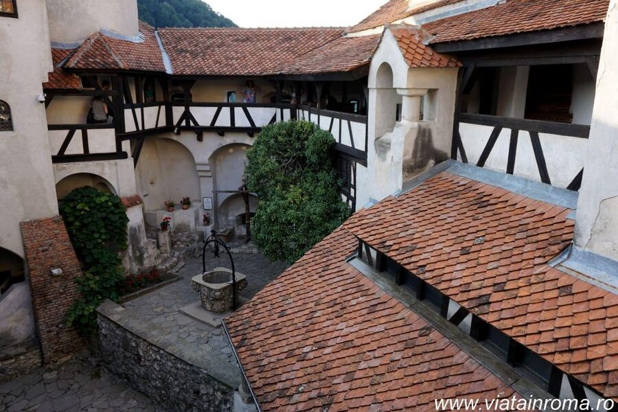 One day trip Bear Sanctuary, Dracula Castle - Should you book the Bear Sanctuary and Bran Castle trip?