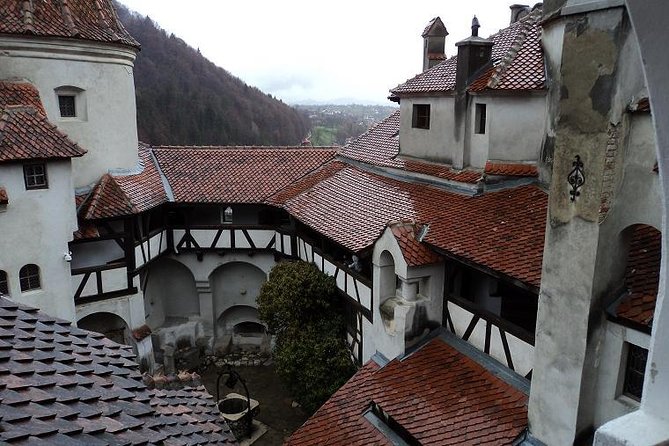 One day trip Bear Sanctuary, Dracula Castle, Rasnov Fortress from Brasov - Rasnov Fortress and the current access problem