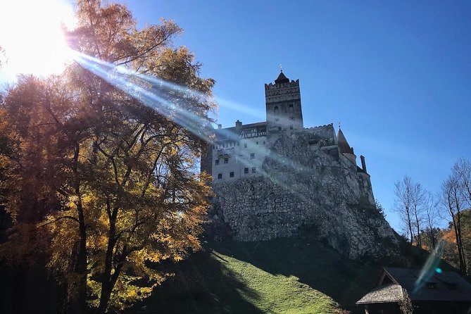 One day trip Bear Sanctuary, Dracula Castle, Rasnov Fortress from Brasov - The driver makes or breaks the day
