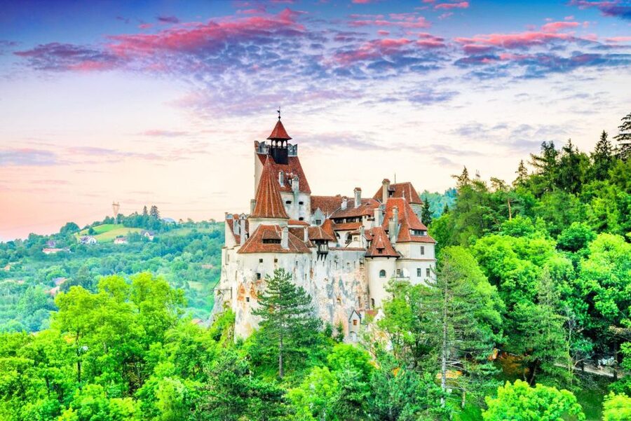One day trip Bear Sanctuary, Dracula Castle - The 1.5-hour visit at Zarnesti