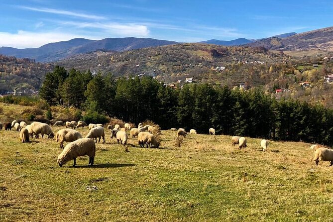 Original Carpathian Village Experience and Sinaia in one day tour - Why this Bucharest day trip is different