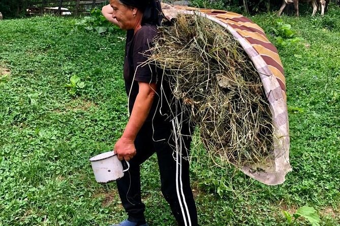 Original Carpathian Village Experience and Sinaia in one day tour - Village life and fortified churches in Transylvania