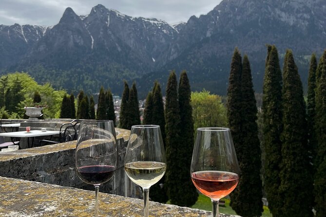 Peles & Cantacuzino Castles: Gourmet Wine & Cultural Day trip - Cantacuzino Castle and the best pause of the day