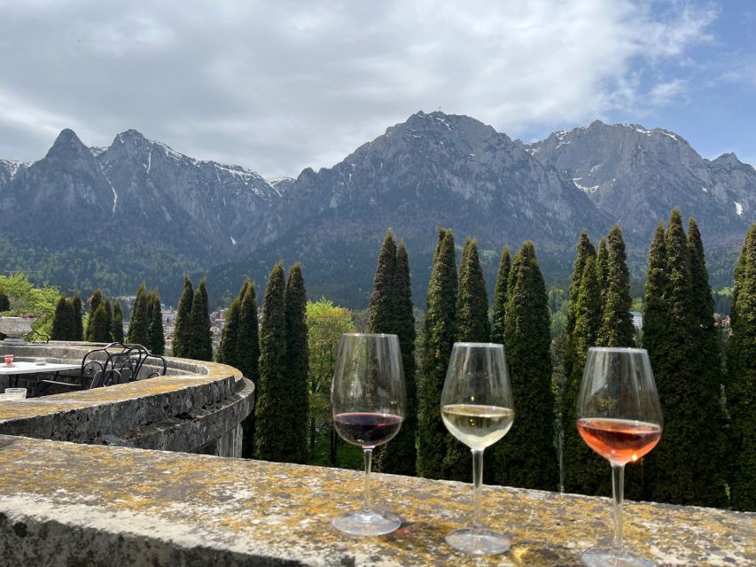 Peles & Cantacuzino Castles: Gourmet Wine & Cultural trip - Who will get the most from this experience