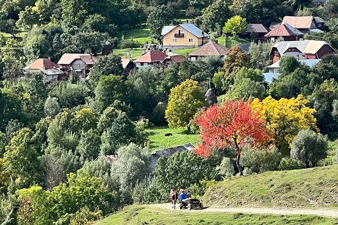 Peles castle and authentic Romanian village experience - day trip - A Long Romanian Lunch With Local Specialties