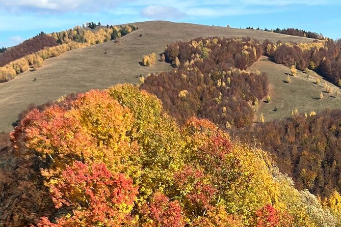 Peles castle and authentic Romanian village experience - day trip - Paltinu Dam And The Green Lake Photo Stop
