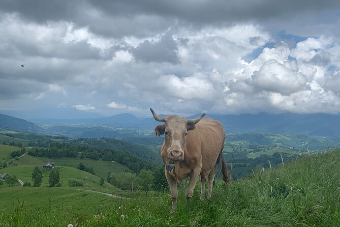 Peles castle and authentic Romanian village experience - day trip - Practical Details For A Smooth Day