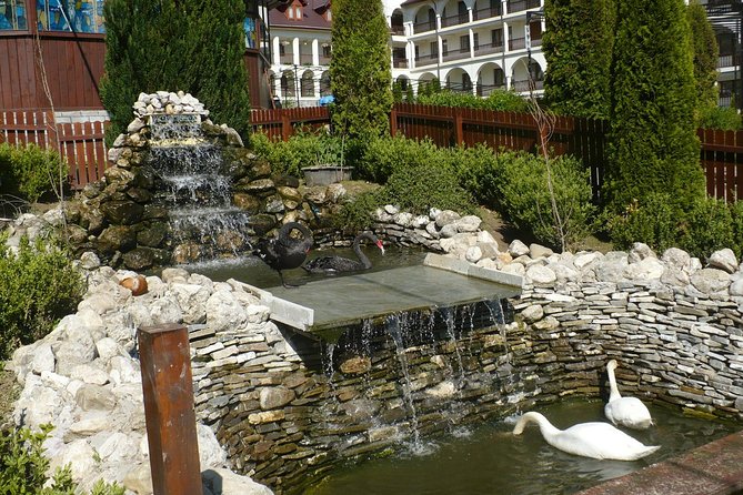 Peles Castle and optional Cantacuzino Castle from Brasov - What this Brasov day trip is really offering