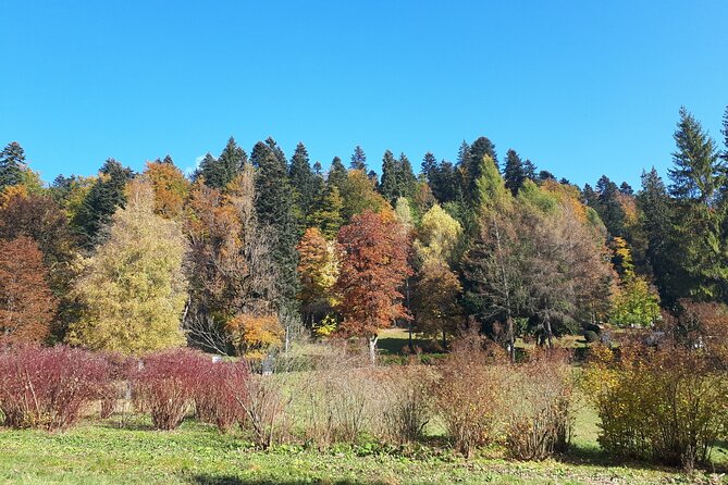 Peles Castle and optional Cantacuzino Castle from Brasov - George Enescu Memorial House, an itinerary detail to confirm