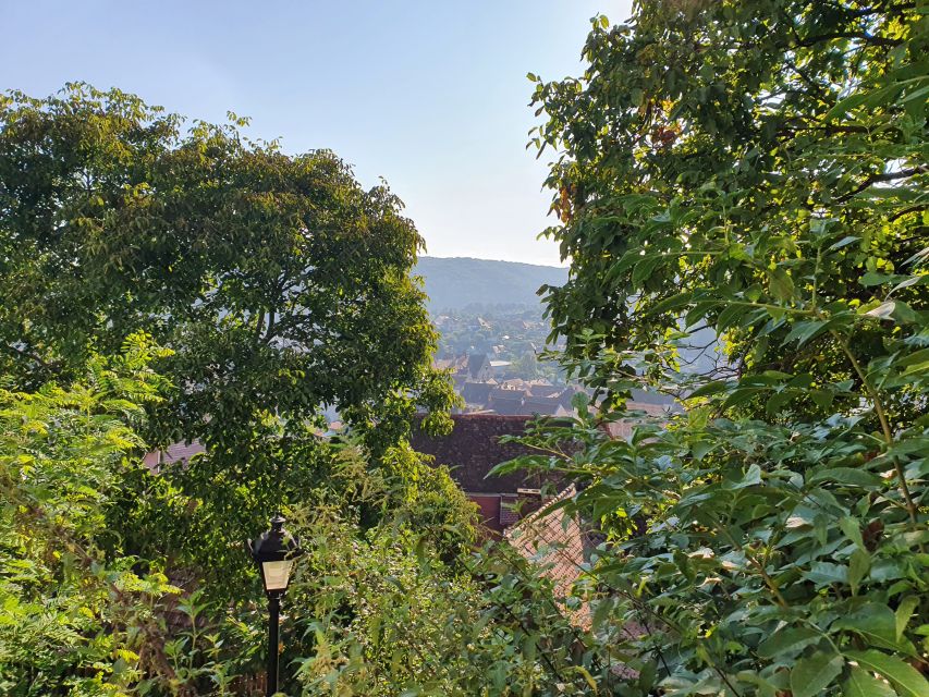 Peleș Castle, Bran Castles and Brasov City - Private Tour - How to prepare for a better day