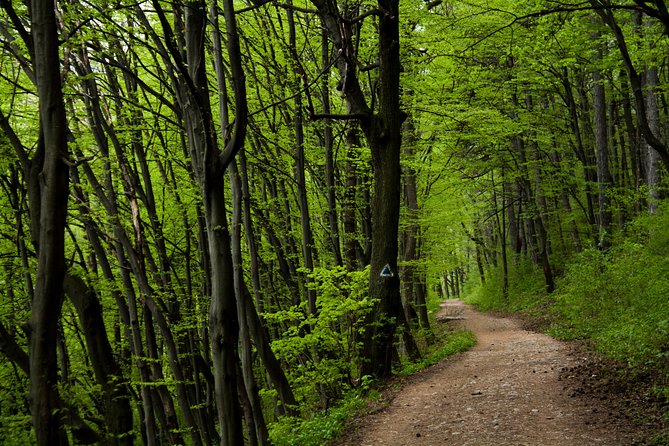 Perfect bike tour around Brasov - Key points to know before you book