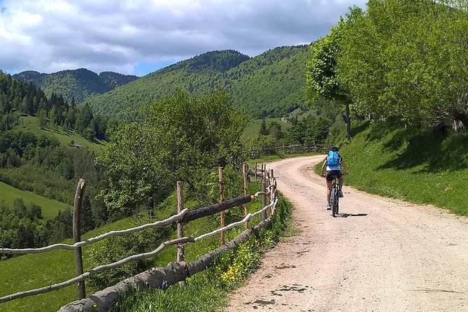 Perfect bike tour around Brasov - Entering the protected secular oak forest