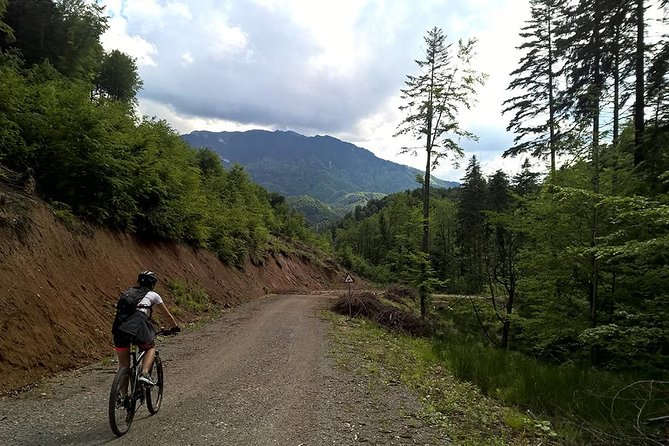 Perfect bike tour around Brasov - Finishing with local food in Cristian