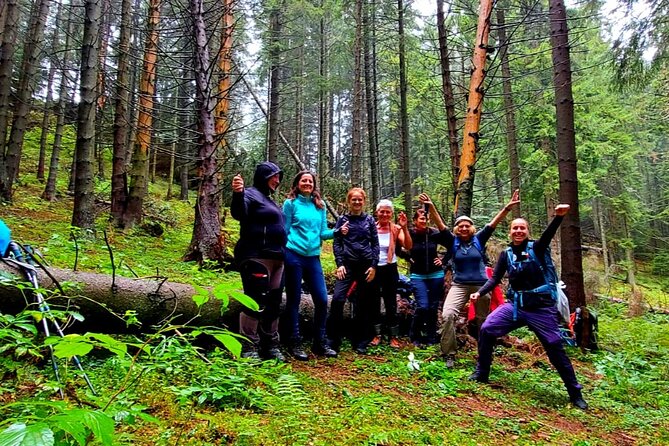 Pestera and Magura Full-Day Private Walking Tour from Brasov - What the scenery is really like