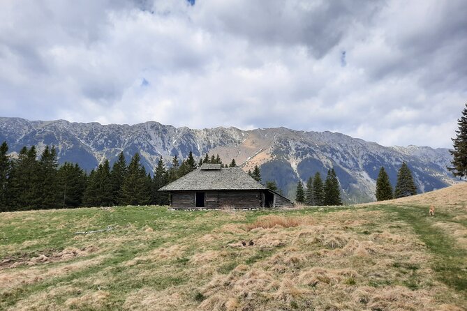Pestera and Magura Full-Day Private Walking Tour from Brasov - Is the $103.45 price good value?