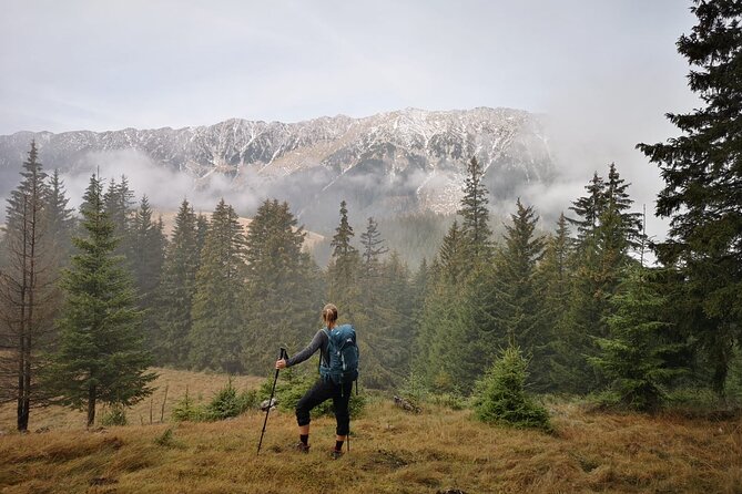 Pestera and Magura Full-Day Private Walking Tour from Brasov - Who will enjoy this day most?