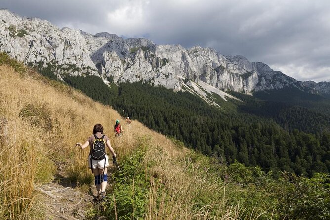 Piatra Craiului National Park Private Hiking Tour from Brasov - Key points to know before booking