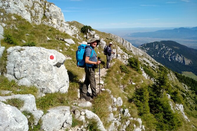 Piatra Craiului National Park Private Hiking Tour from Brasov - The guides make the difference