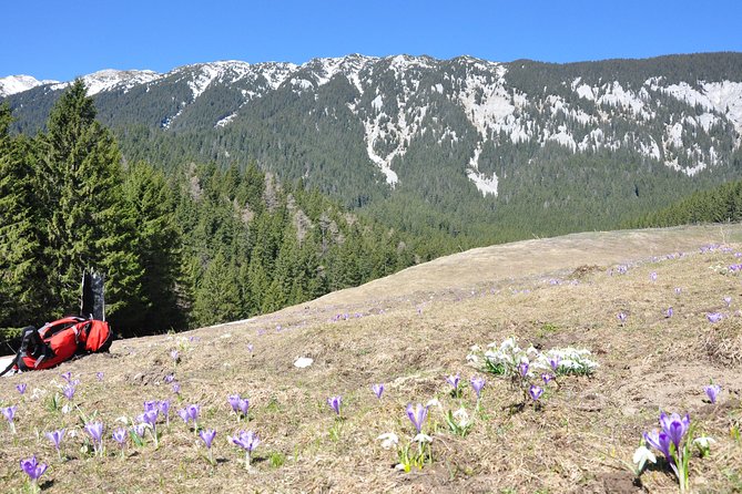 Piatra Craiului National Park Private Hiking Tour from Brasov - Lunch is a practical matter, not a footnote