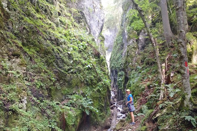 Piatra Craiului National Park Private Hiking Tour from Brasov - Optional Bran Castle on the way back
