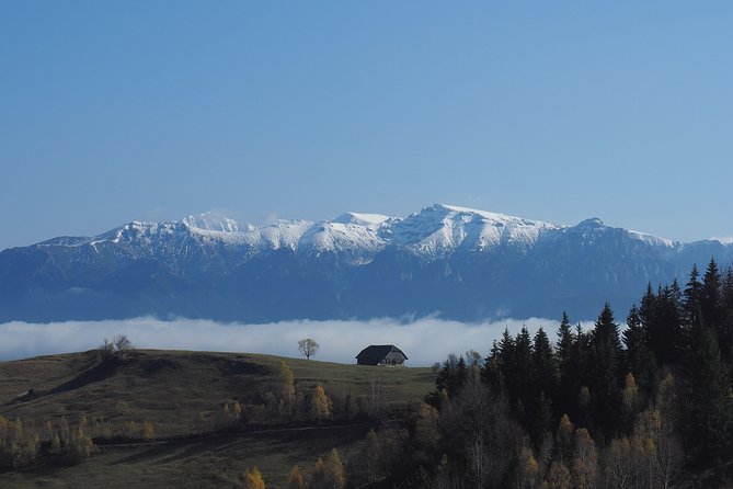 Piatra Craiului National Park Private Hiking Tour from Brasov - Is $126.98 a fair price?