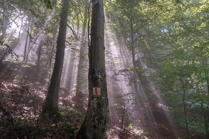 Piatra Craiului National Park Private Hiking Tour from Brasov - What to wear and carry
