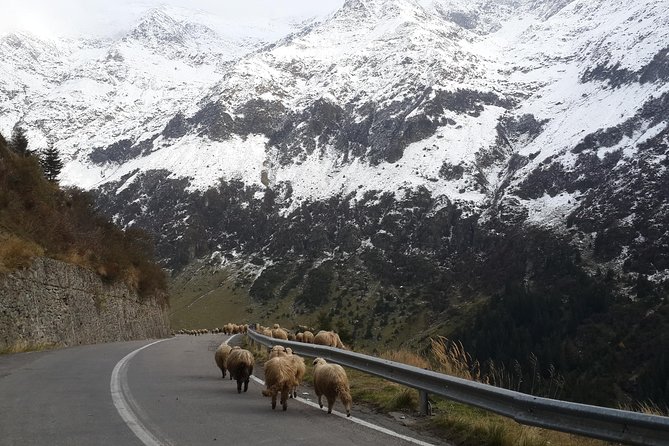 Private 6-Day Dracula Tour in Transylvania from Bucharest - Day 1: Curtea de Arges, Poienari, and the Transfagarasan