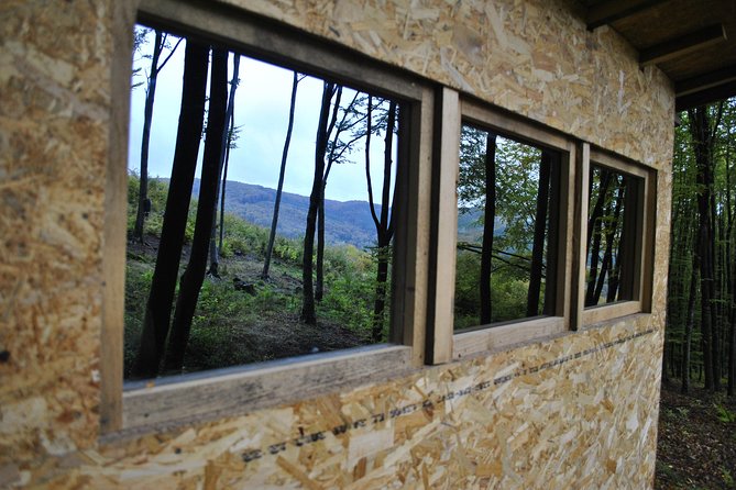 Private Brown Bear Watching Experience near Odorheiu Secuiesc - Why this bear outing feels different from a normal day tour