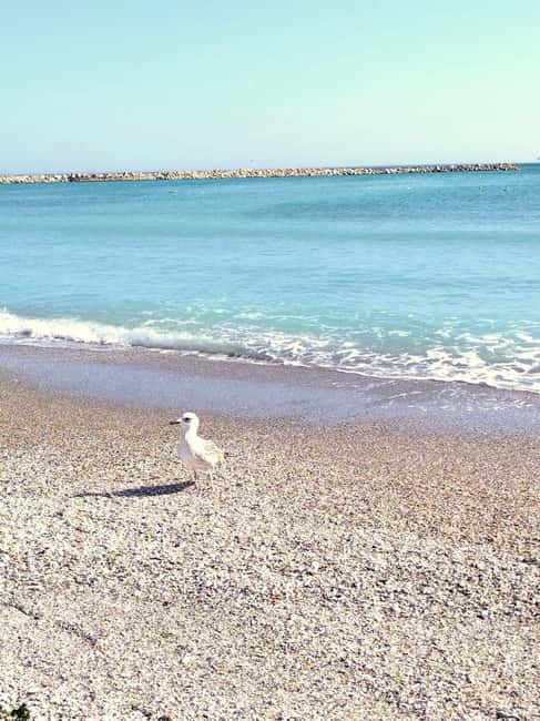 Private Bucharest Tour: Discover Constanța & Black Sea Coast - Practical advice for a smoother day