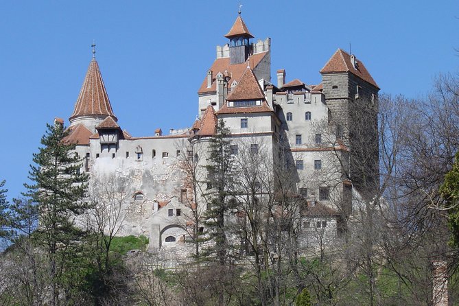 Private Day Tour from Brasov to Rasnov Fortress - Bran Castle: separating Dracula from Vlad Tepes