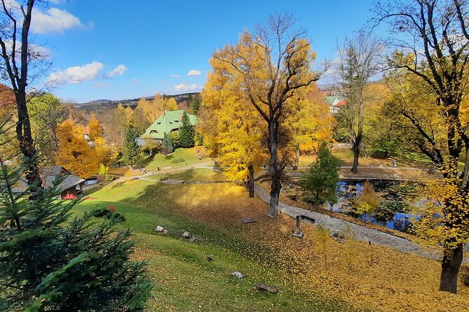 Private Day Tour in Transylvania, Peles and Bran Castles from Brasov - Who Will Get the Most from This Day