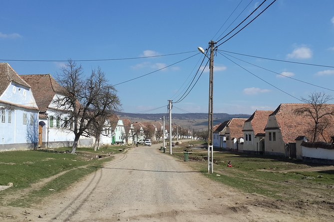 Private Day Tour Sighisoara and Viscri from Brasov with Hotel Pick Up/ Drop Off - What the guide adds to the experience