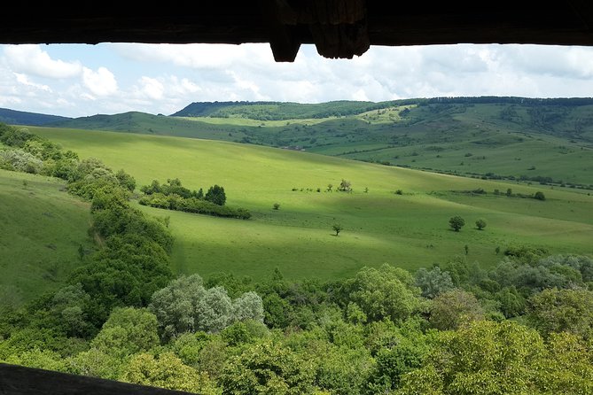 Private Day Tour Sighisoara and Viscri from Brasov with Hotel Pick Up/ Drop Off - Transport, comfort, and the value of the $103.56 price