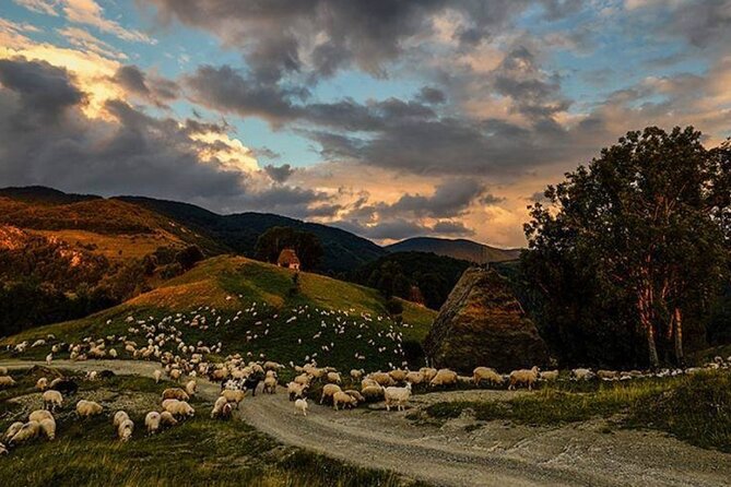 Private Day Tour to Historical Villages in Sinaia - Izvorul Alb and the rhythm of a small village