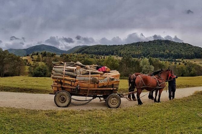 Private Day Tour to Historical Villages in Sinaia - Who will get the most from this day
