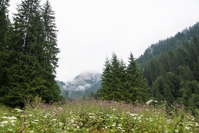 Private Daytrip Hike to Bucegi Mountains - Scropoasa Lake and its unusual color
