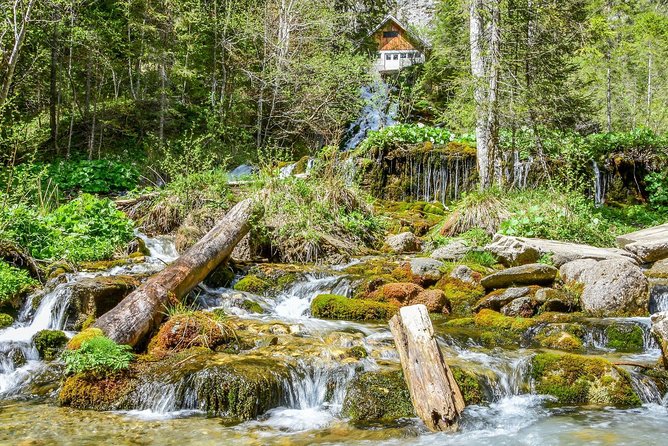 Private Daytrip Hike to Bucegi Mountains - Zănoaga Dreamland and the forest trail