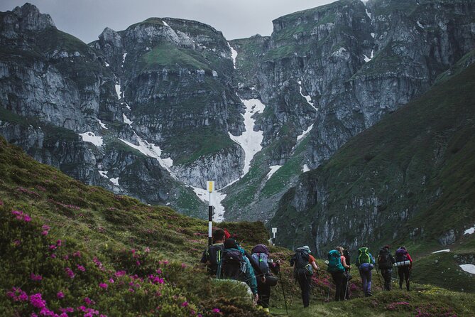 Private Hiking to Bucegi Natural Park from Brasov - Key points at a glance