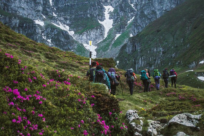 Private Hiking to Bucegi Natural Park from Brasov - Climbing toward the 2,000-meter plateau