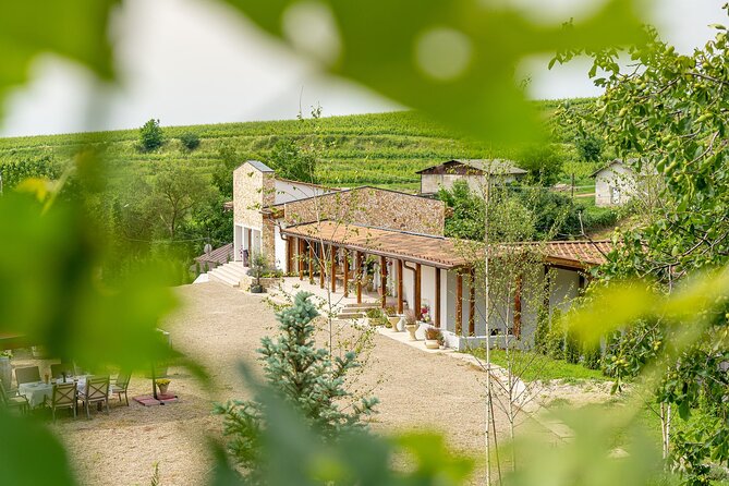 Private Tasting Expedition Along Romania’s Most Famous Wine Route - The guide makes the road part count