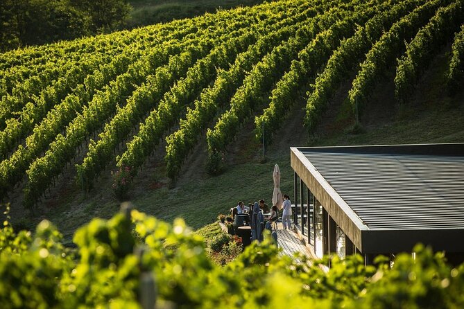 Private Tasting Expedition Along Romania’s Most Famous Wine Route - Why Dealu Mare is the right wine route