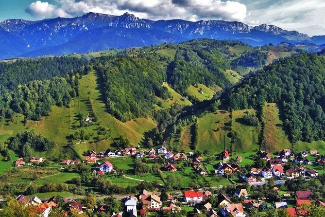 Private Tour: Transylvanian Castles and Brasov's Medieval Old Town - Price, Timing, and Small Practical Details