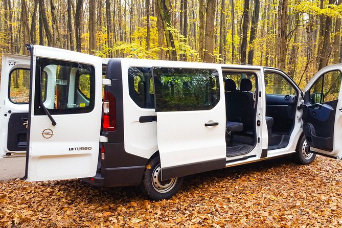 Private Transfer from Giurgiu Port to Bucharest - Port pickup, hotel drop-off, and airport connections
