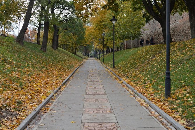 Private Walking Tour of Sibiu - Piata Mare and the city’s public life