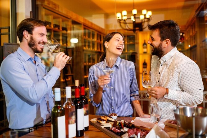 Private Wine Tasting in Cellar and the Winemaking process - What the private guide and vehicle add