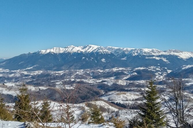 Rambling in Transylvania - Why this is a different kind of Transylvania day trip